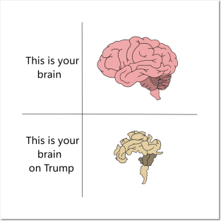 This is your brain on Trump Posters and Art